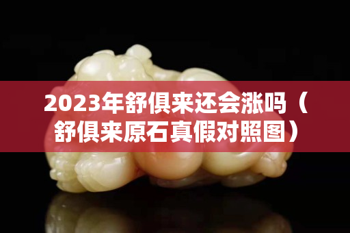 2023年舒俱來還會漲嗎（舒俱來原石真假對照圖）