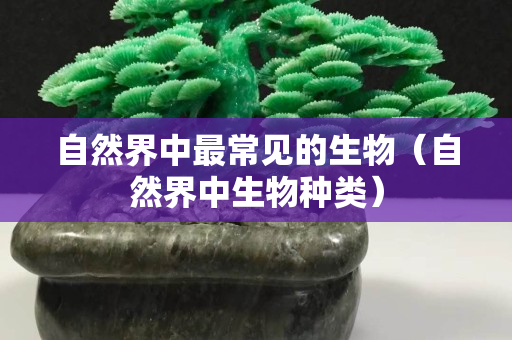 自然界中最常見的生物（自然界中生物種類）