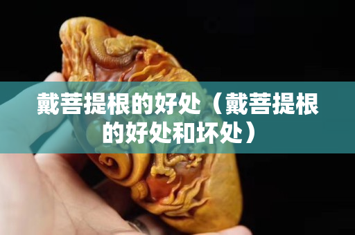戴菩提根的好處（戴菩提根的好處和壞處）