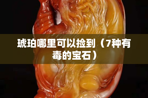 琥珀哪里可以撿到（7種有毒的寶石）