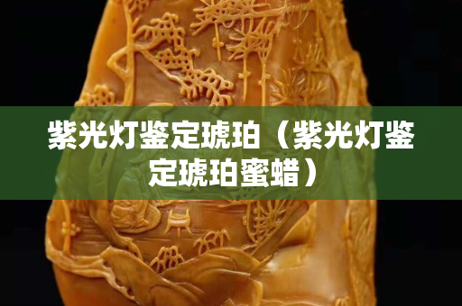 紫光燈鑒定琥珀（紫光燈鑒定琥珀蜜蠟）