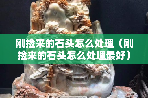 剛撿來的石頭怎么處理（剛撿來的石頭怎么處理最好）