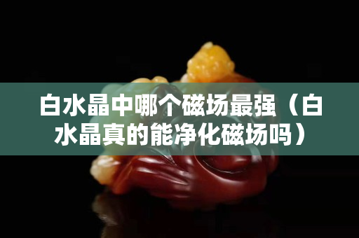 白水晶中哪個磁場最強（白水晶真的能凈化磁場嗎）