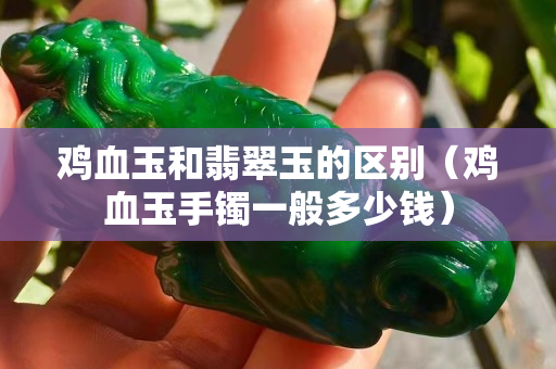 雞血玉和翡翠玉的區別（雞血玉手鐲一般多少錢）