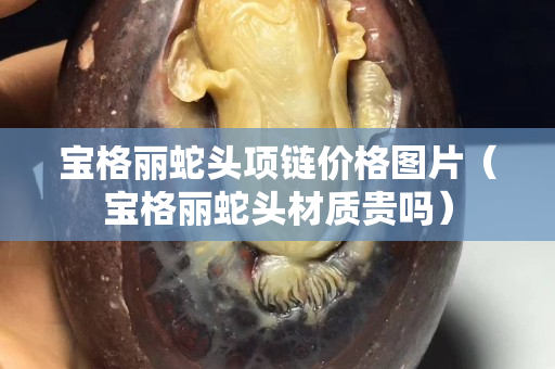 寶格麗蛇頭項鏈價格圖片（寶格麗蛇頭材質貴嗎）