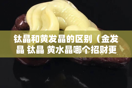 鈦晶和黃發(fā)晶的區(qū)別（金發(fā)晶 鈦晶 黃水晶哪個(gè)招財(cái)更好）