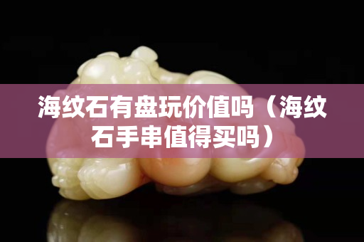 海紋石有盤(pán)玩價(jià)值嗎（海紋石手串值得買(mǎi)嗎）