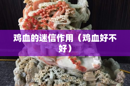 雞血的迷信作用（雞血好不好）