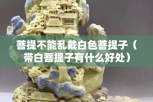 菩提不能亂戴白色菩提子（帶白菩提子有什么好處）