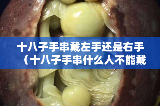 十八子手串戴左手還是右手（十八子手串什么人不能戴）