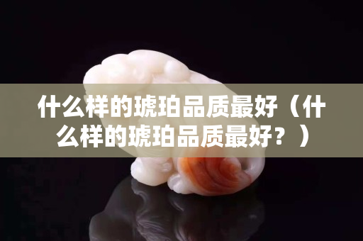 什么樣的琥珀品質最好（什么樣的琥珀品質最好？）