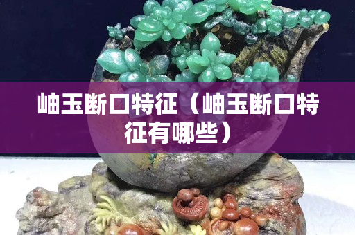 岫玉斷口特征（岫玉斷口特征有哪些）