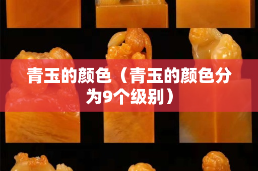 青玉的顏色（青玉的顏色分為9個(gè)級(jí)別）