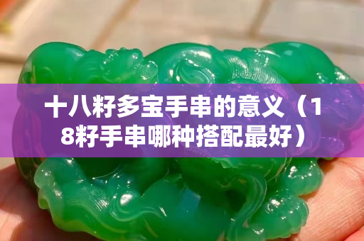 十八籽多寶手串的意義（18籽手串哪種搭配最好）