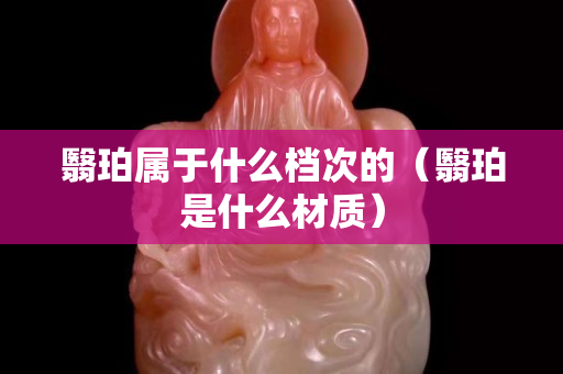 翳珀屬于什么檔次的（翳珀是什么材質）