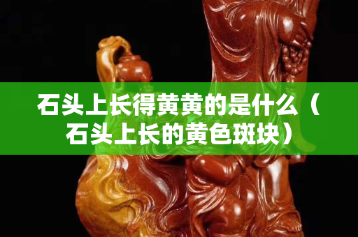 石頭上長得黃黃的是什么（石頭上長的黃色斑塊）