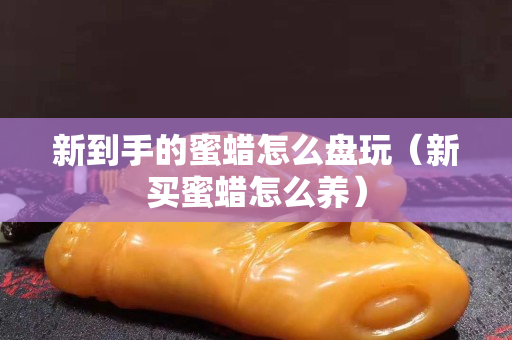 新到手的蜜蠟怎么盤(pán)玩（新買(mǎi)蜜蠟怎么養(yǎng)）