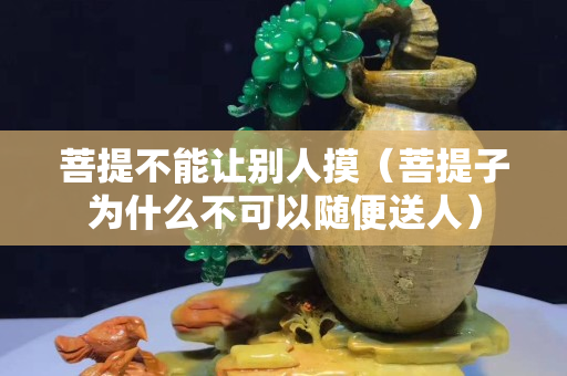 菩提不能讓別人摸（菩提子為什么不可以隨便送人）