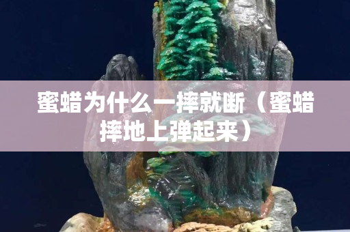 蜜蠟為什么一摔就斷（蜜蠟摔地上彈起來）