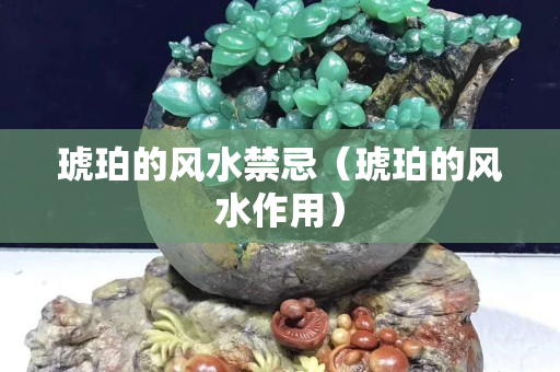 琥珀的風水禁忌（琥珀的風水作用）