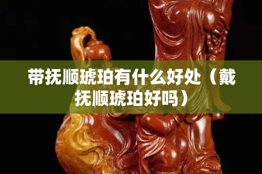 帶撫順琥珀有什么好處（戴撫順琥珀好嗎）
