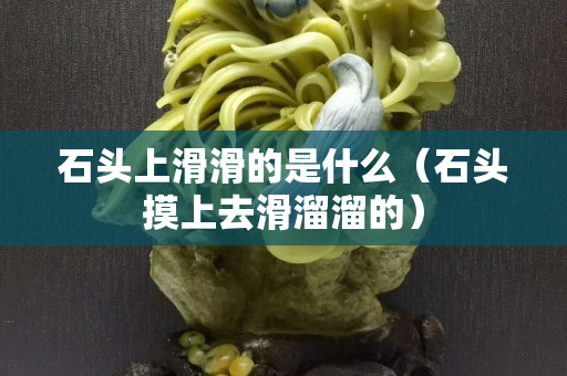 石頭上滑滑的是什么（石頭摸上去滑溜溜的）