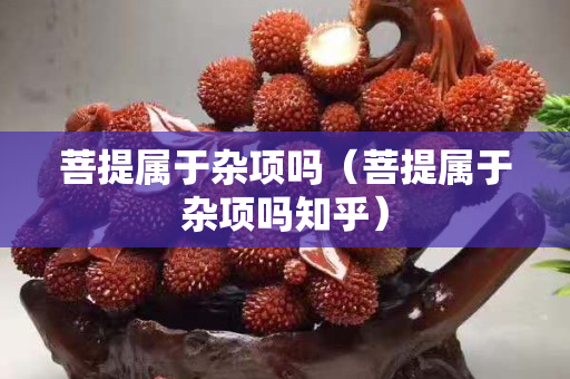 菩提屬于雜項(xiàng)嗎（菩提屬于雜項(xiàng)嗎知乎）