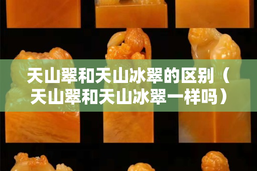 天山翠和天山冰翠的區(qū)別（天山翠和天山冰翠一樣嗎）