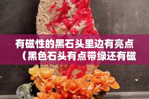 有磁性的黑石頭里邊有亮點（黑色石頭有點帶綠還有磁性）