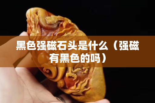 黑色強磁石頭是什么（強磁有黑色的嗎）