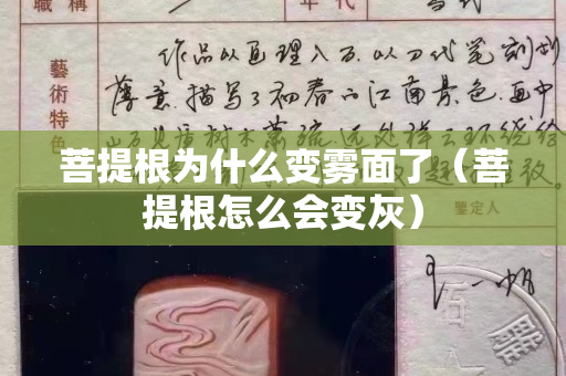 菩提根為什么變霧面了（菩提根怎么會變灰）