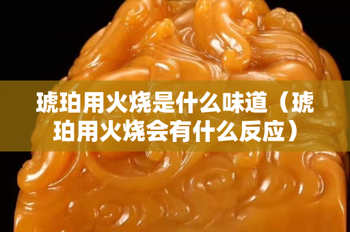 琥珀用火燒是什么味道（琥珀用火燒會有什么反應）