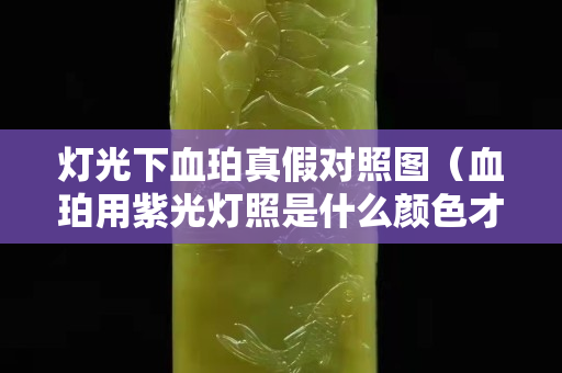 燈光下血珀真假對照圖（血珀用紫光燈照是什么顏色才是原礦的）