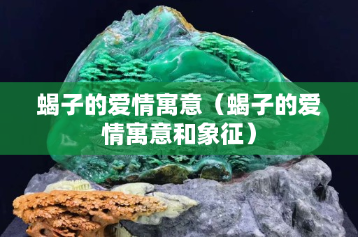 蝎子的愛情寓意（蝎子的愛情寓意和象征）