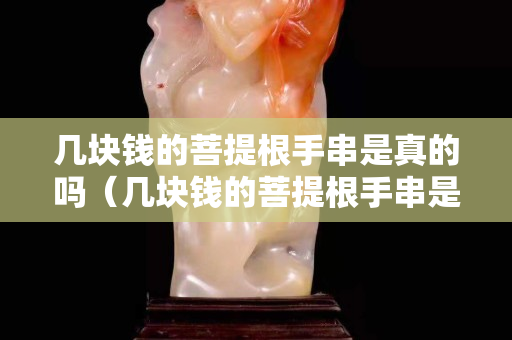 幾塊錢的菩提根手串是真的嗎（幾塊錢的菩提根手串是真的嗎能帶嗎）