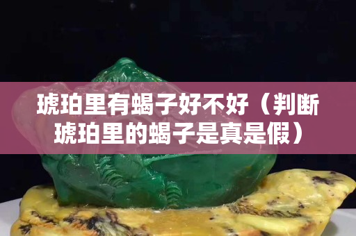 琥珀里有蝎子好不好（判斷琥珀里的蝎子是真是假）