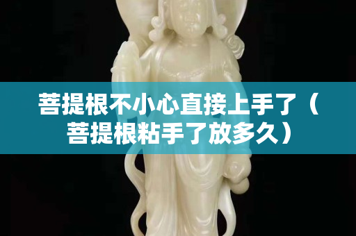 菩提根不小心直接上手了（菩提根粘手了放多久）