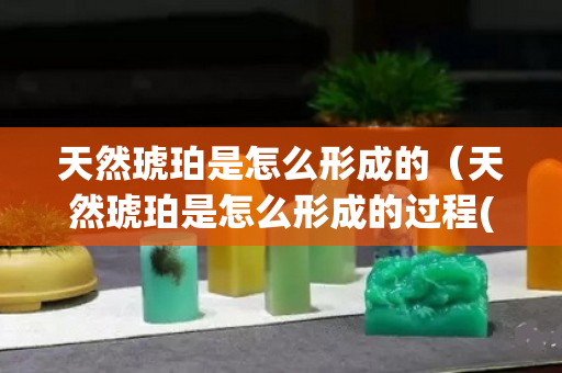 天然琥珀是怎么形成的（天然琥珀是怎么形成的過程(小故事不40字)）