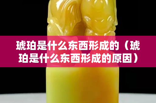 琥珀是什么東西形成的（琥珀是什么東西形成的原因）