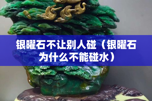 銀曜石不讓別人碰（銀曜石為什么不能碰水）