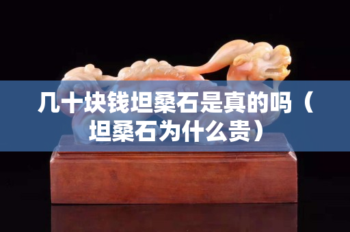 幾十塊錢坦桑石是真的嗎（坦桑石為什么貴）