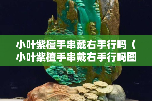 小葉紫檀手串戴右手行嗎（小葉紫檀手串戴右手行嗎圖片）