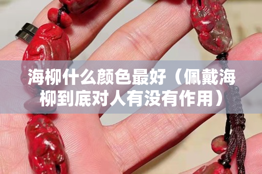 海柳什么顏色最好（佩戴海柳到底對人有沒有作用）