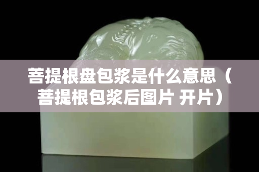 菩提根盤包漿是什么意思（菩提根包漿后圖片 開片）