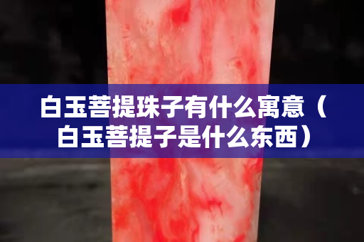 白玉菩提珠子有什么寓意（白玉菩提子是什么東西）