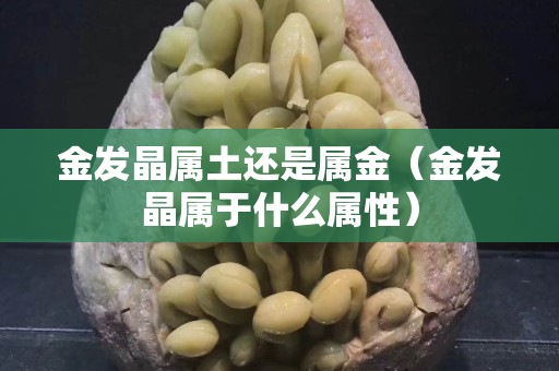 金發晶屬土還是屬金（金發晶屬于什么屬性）