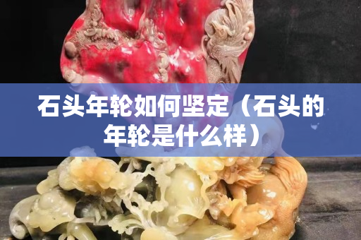 石頭年輪如何堅定（石頭的年輪是什么樣）