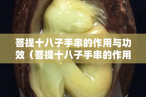 菩提十八子手串的作用與功效（菩提十八子手串的作用與功效禁忌）
