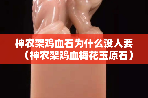 神農架雞血石為什么沒人要（神農架雞血梅花玉原石）