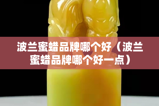 波蘭蜜蠟品牌哪個好（波蘭蜜蠟品牌哪個好一點）